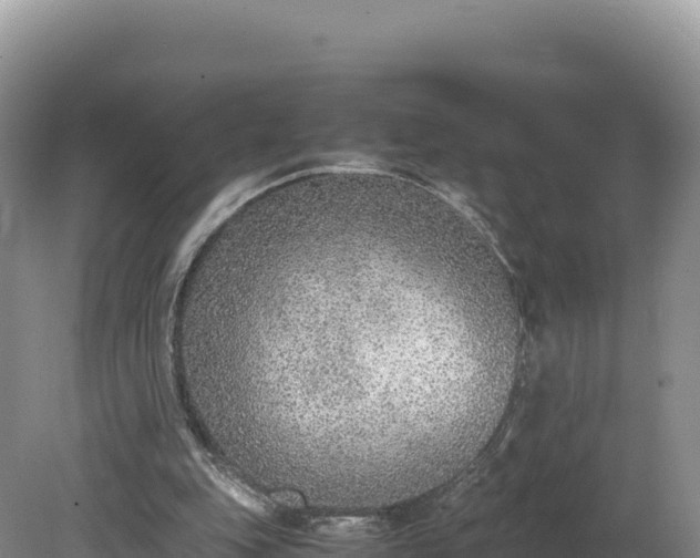 X0000080140151200612151813