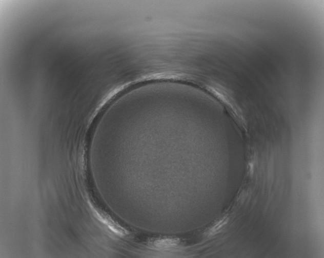 X0000080140156200612151813
