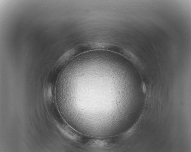 X0000080140166200612151813