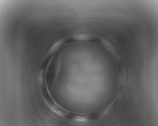 X0000080140167200612151813