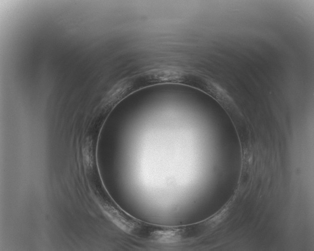X0000080140170200612151813