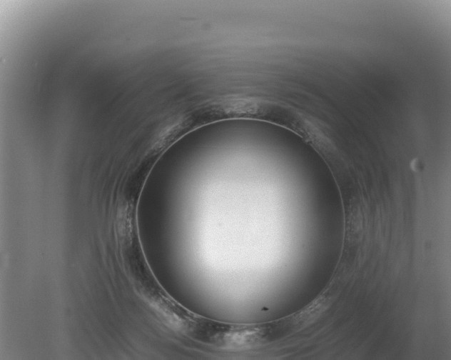 X0000080140172200612151813
