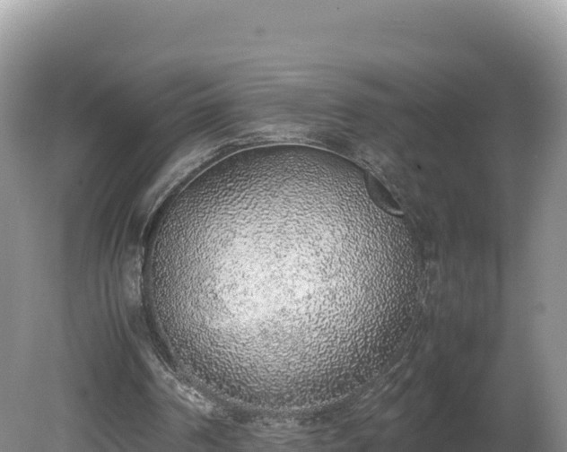 X0000080140194200612151813