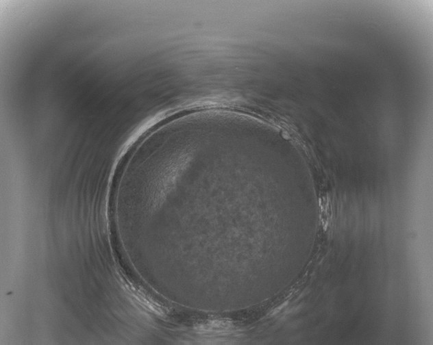 X0000080140196200612151813