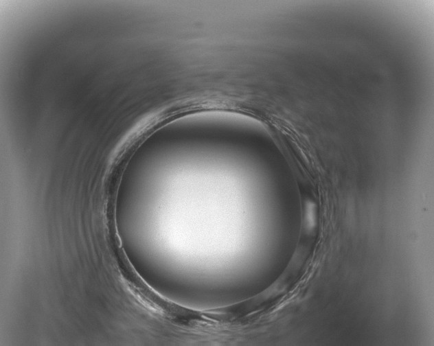 X0000080140197200612151813