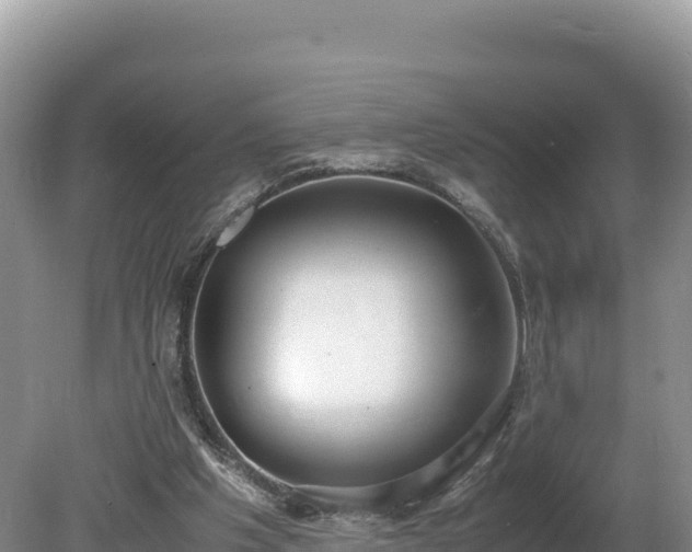 X0000080140201200612151813