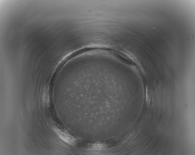 X0000080140204200612151813
