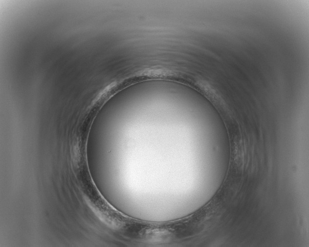 X0000080140208200612151813