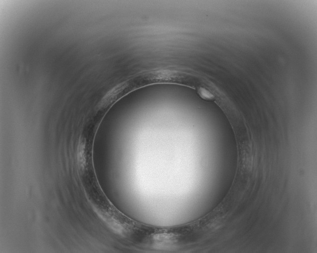 X0000080140216200612151813