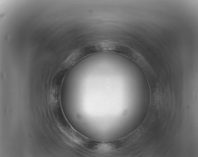 X0000080140218200612151813