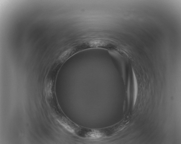 X0000080140219200612151812