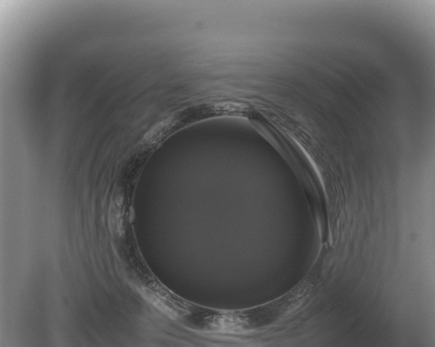 X0000080140223200612151812