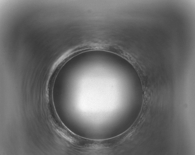 X0000080140246200612151811