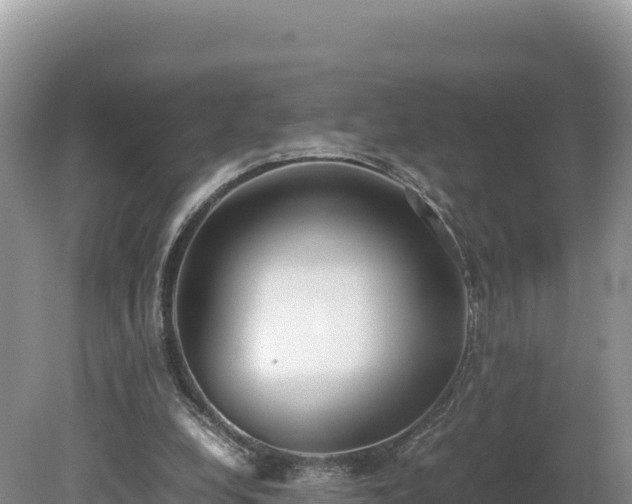X0000080140248200612151811