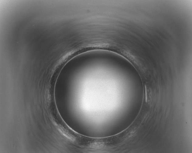 X0000080140252200612151812