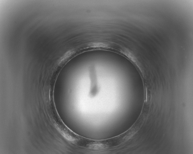X0000080140253200612151812