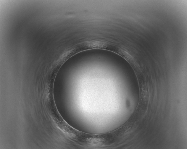 X0000080140255200612151812