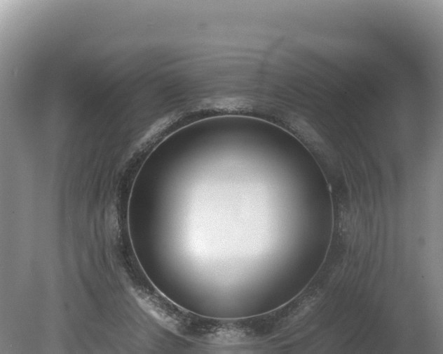 X0000080140256200612151812