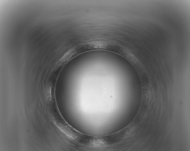 X0000080140262200612151812