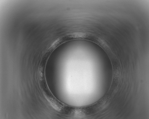 X0000080140264200612151812