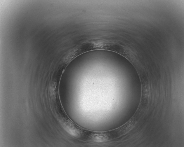 X0000080140275200612151812