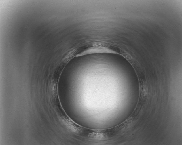 X0000080140276200612151812