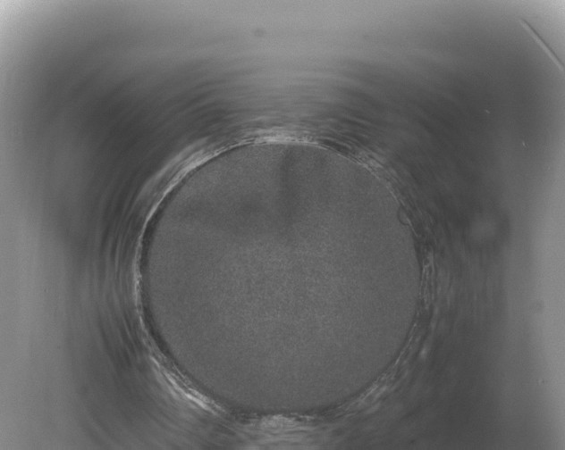 X0000080140290200612151811
