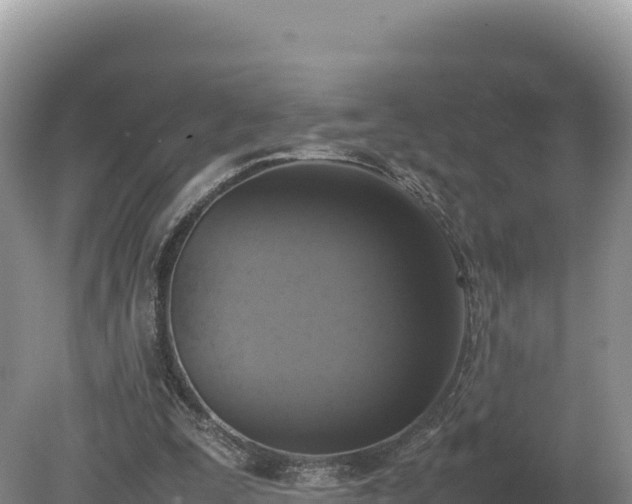 X0000080140295200612151811