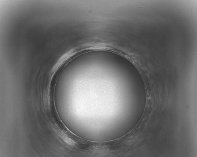 X0000080140296200612151811