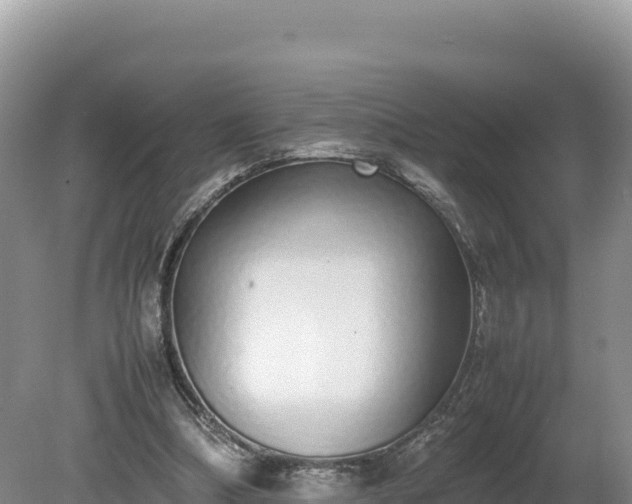 X0000080140298200612151811