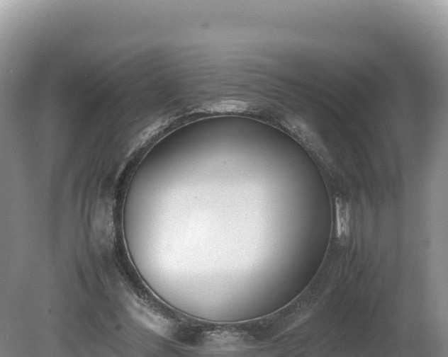 X0000080140300200612151811
