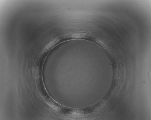 X0000080140303200612151811