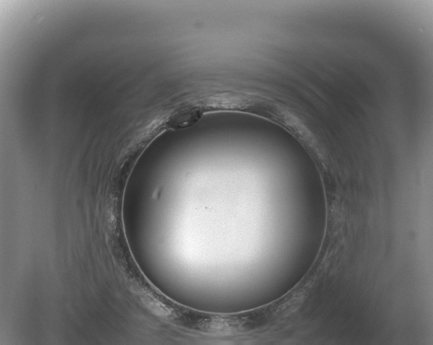 X0000080140305200612151811