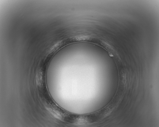 X0000080140308200612151811