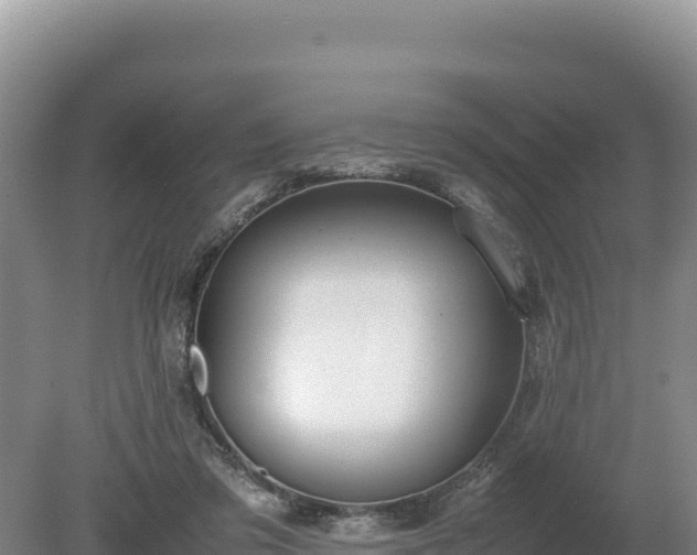 X0000080140309200612151811
