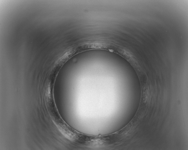 X0000080140310200612151811