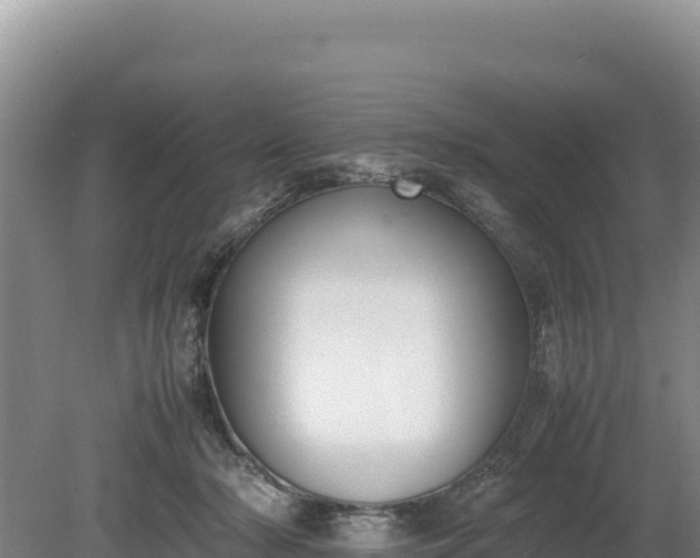 X0000080140318200612151811