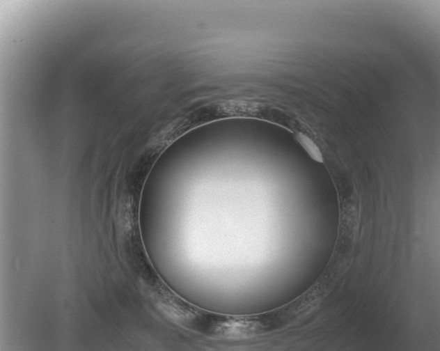 X0000080140323200612151811
