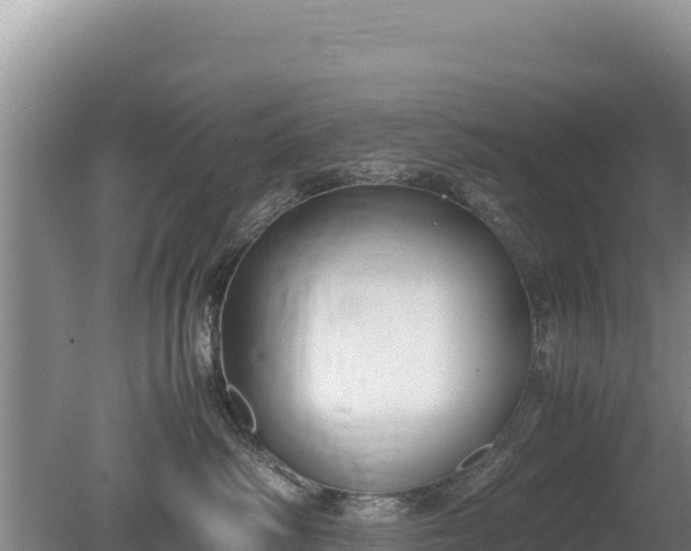X0000080140334200612151811