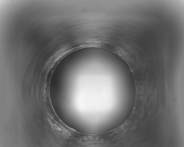 X0000080140338200612151810