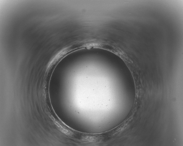X0000080140341200612151810