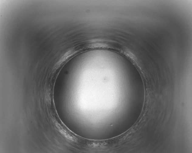 X0000080140345200612151810