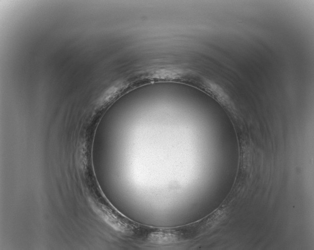 X0000080140354200612151810