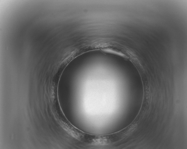 X0000080140362200612151810