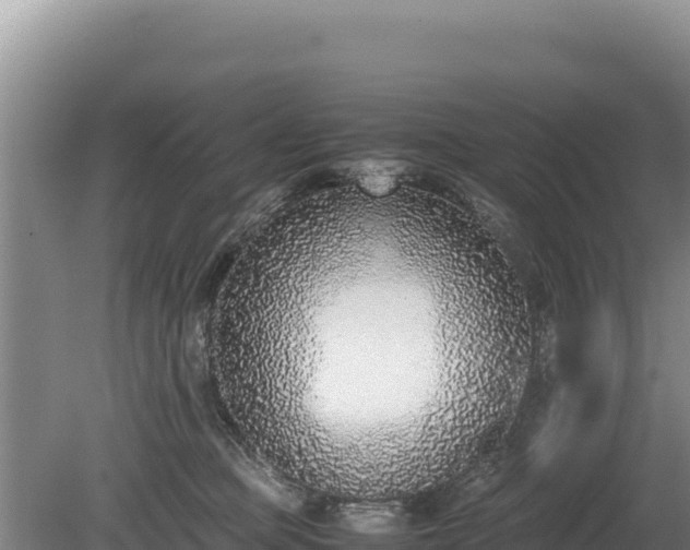X0000080140373200612151810