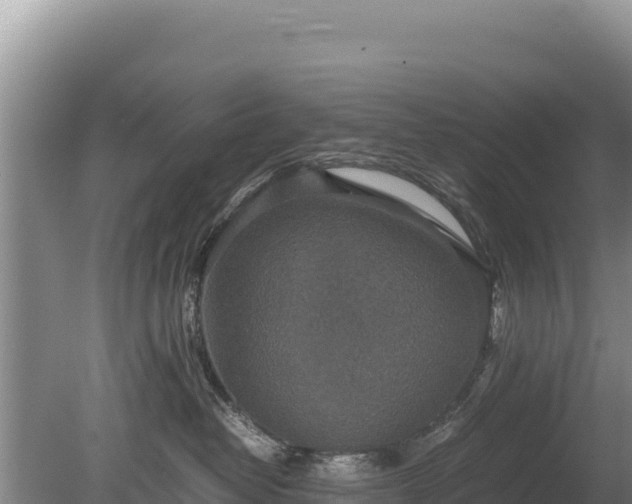 X0000080140382200612151810