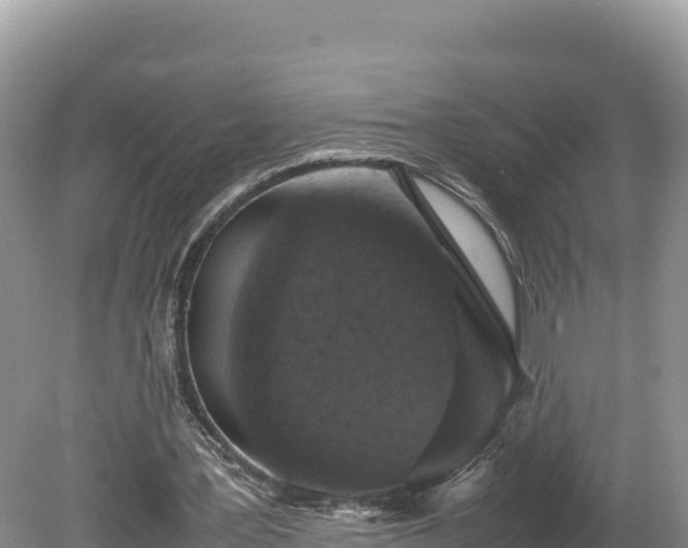 X0000080140387200612151810