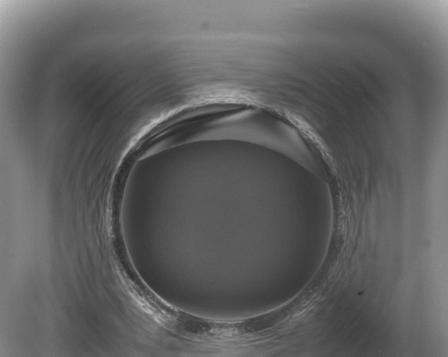 X0000080140391200612151810