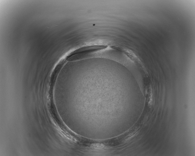 X0000080140392200612151810