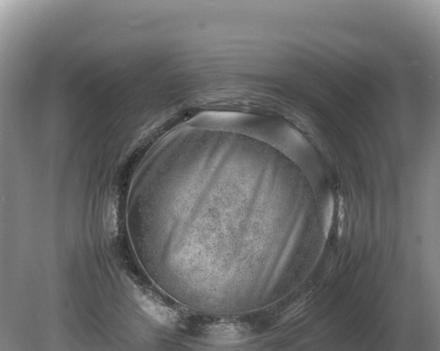 X0000080140404200612151809